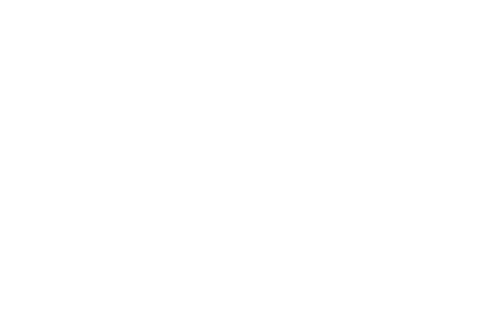 Abwicklung